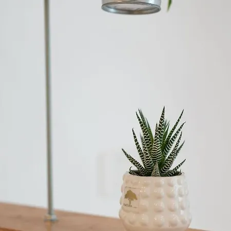 Andrea's By Dimorra *